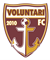 Voluntari
