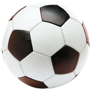 Relegation playoffs trophy