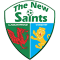 The New Saints