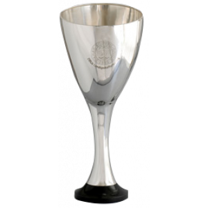 DBU Pokalen trophy
