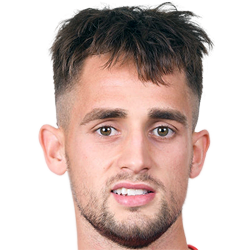Adnan Januzaj